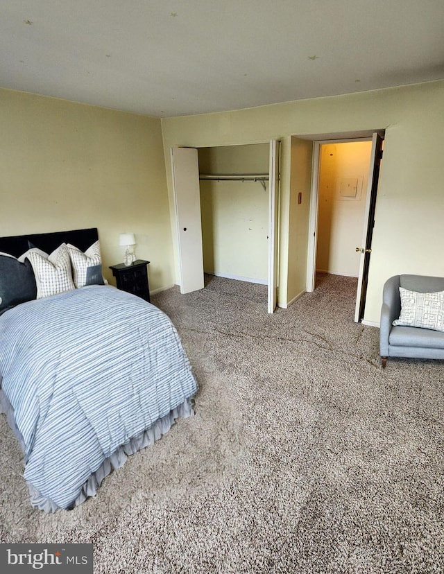 bedroom featuring carpet floors and a closet