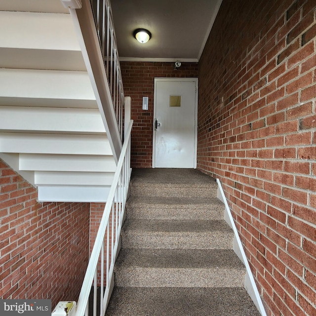 stairs featuring carpet flooring and brick wall