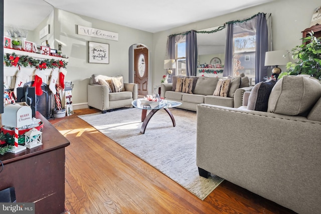 living room with hardwood / wood-style flooring