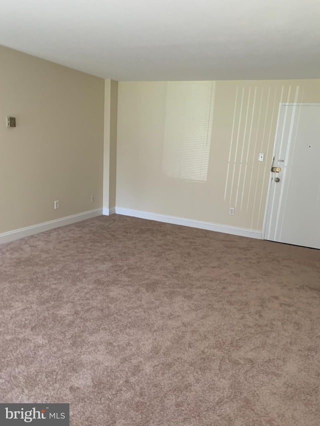 spare room with carpet