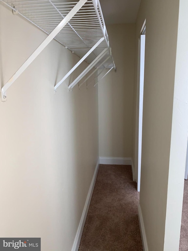 walk in closet with carpet