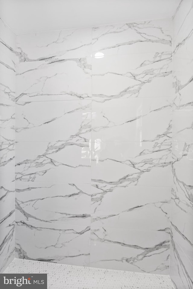 room details with tiled shower