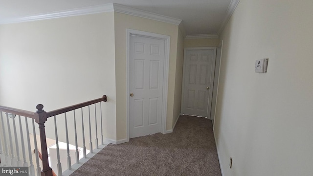 corridor featuring crown molding and carpet floors