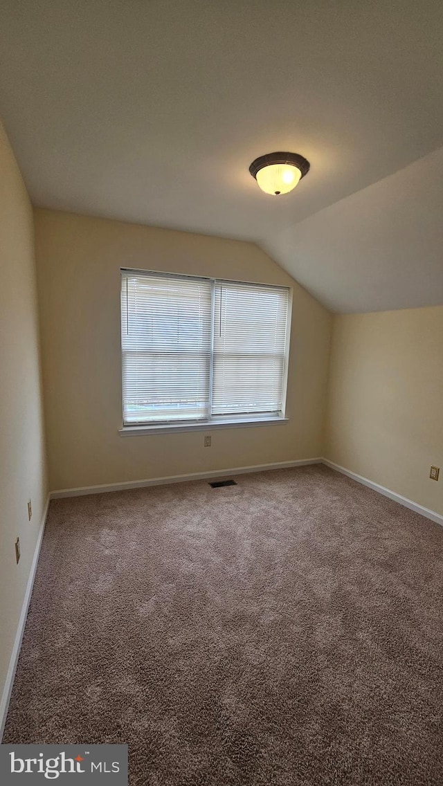 bonus room featuring carpet floors, a healthy amount of sunlight, and vaulted ceiling