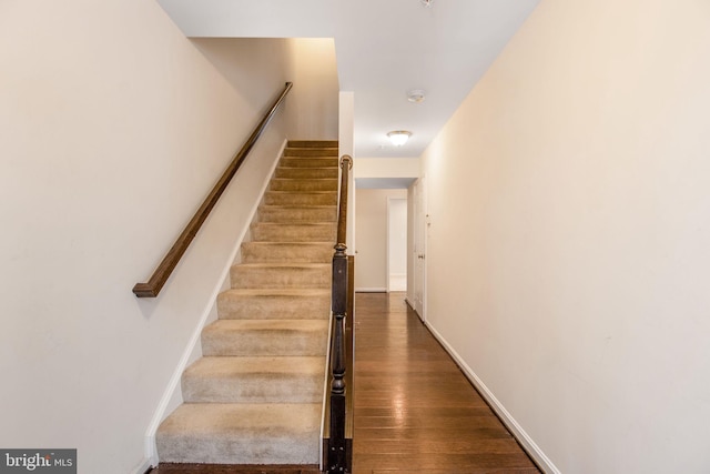 stairway with wood-type flooring