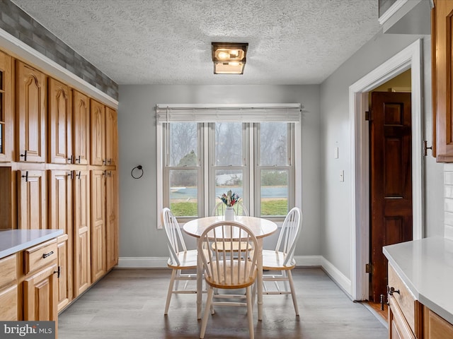 dining room with light hardwood / wood-style flooring and a textured ceiling