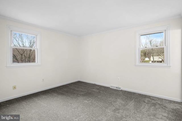 carpeted empty room featuring plenty of natural light and ornamental molding