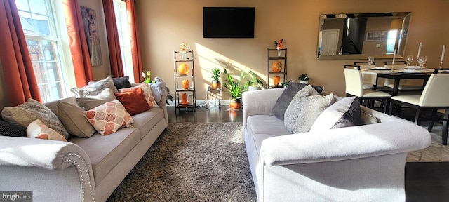 living room with dark hardwood / wood-style flooring