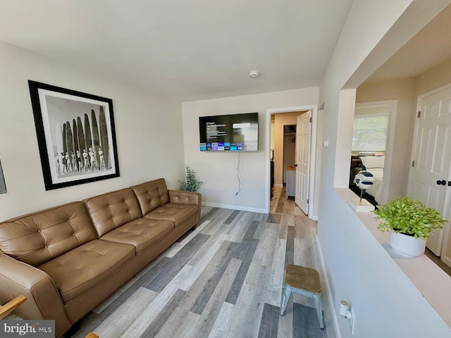 living room featuring light wood-type flooring