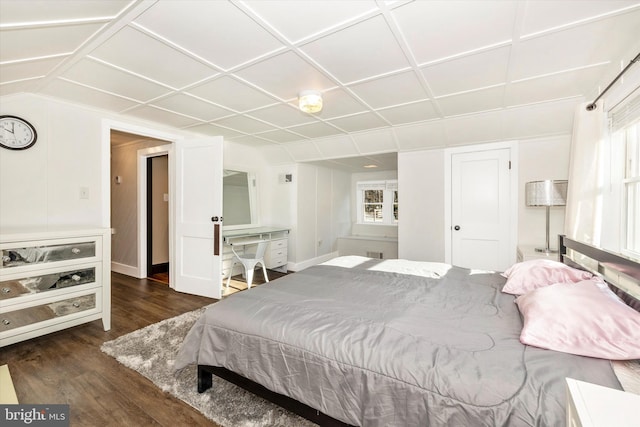 bedroom featuring multiple windows and dark wood-type flooring