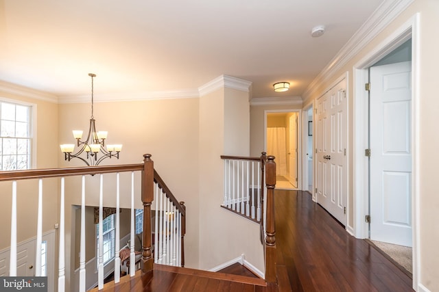 hallway featuring crown molding, dark wood-type flooring, and a chandelier