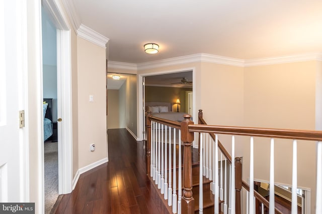 hall with dark hardwood / wood-style floors and crown molding