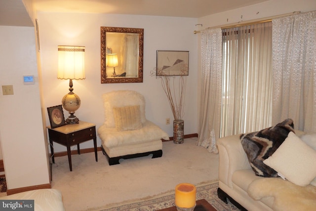 sitting room with carpet floors