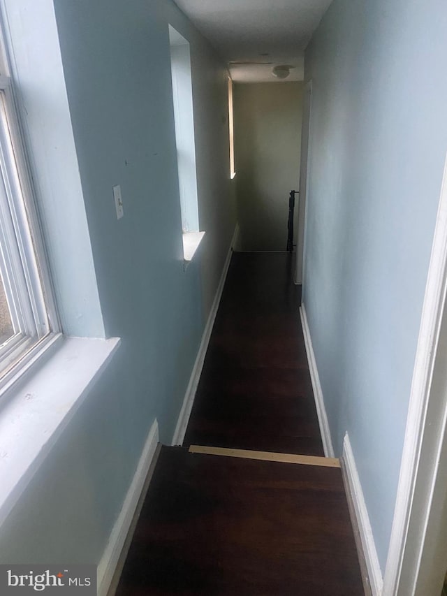 hallway featuring dark wood-type flooring