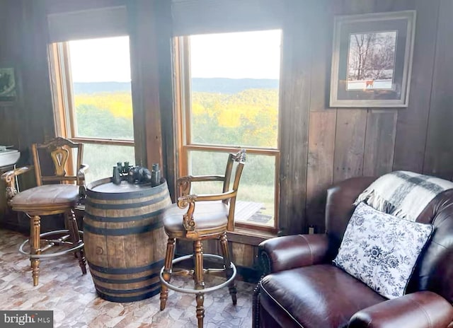 sitting room featuring indoor bar and wooden walls