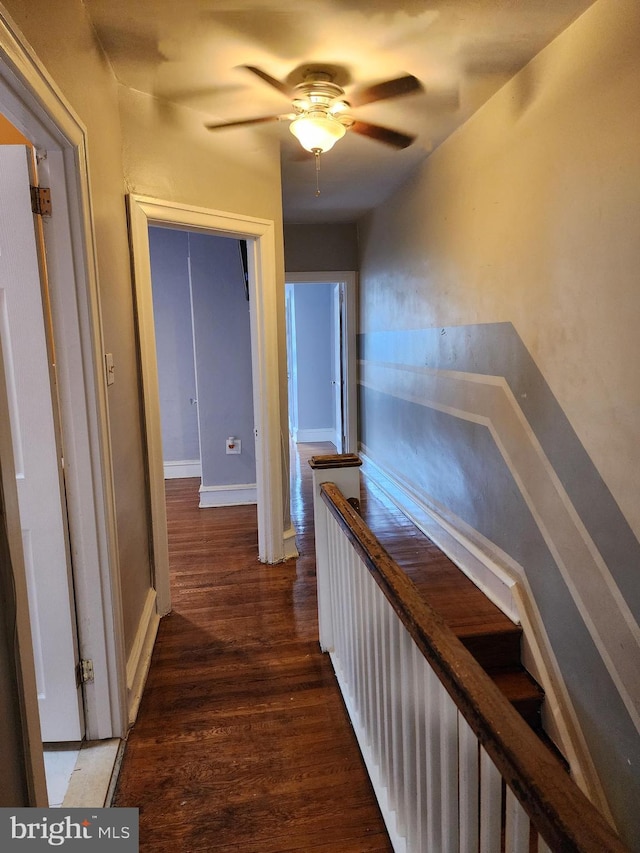 hall featuring dark hardwood / wood-style flooring