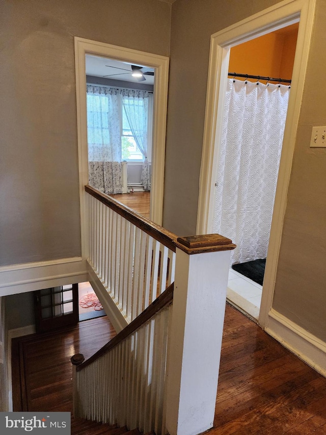 staircase featuring wood-type flooring