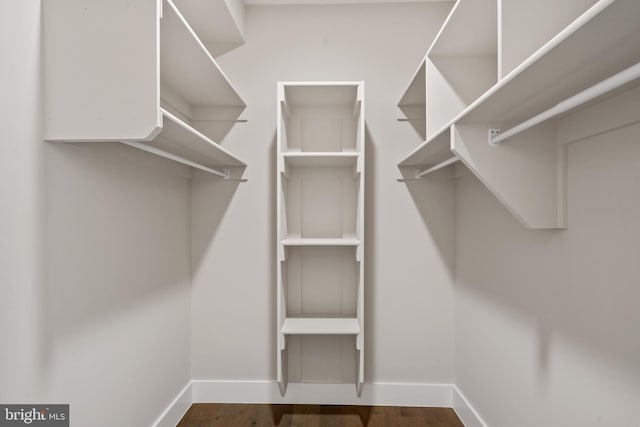 walk in closet featuring dark hardwood / wood-style floors