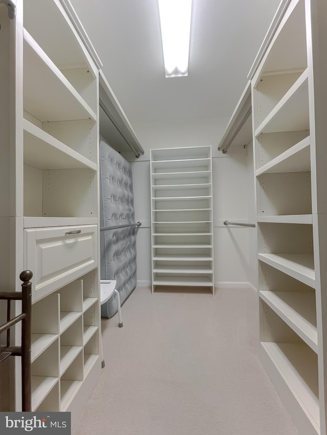 spacious closet featuring carpet floors