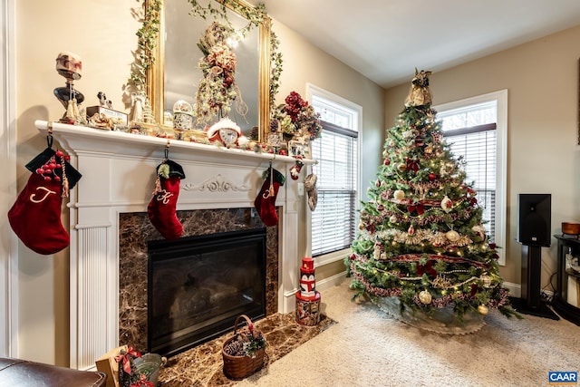 room details featuring carpet and a premium fireplace