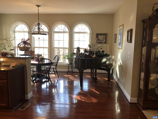 dining room with plenty of natural light and dark wood-type flooring