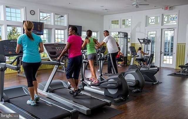 workout area featuring dark hardwood / wood-style floors and ceiling fan