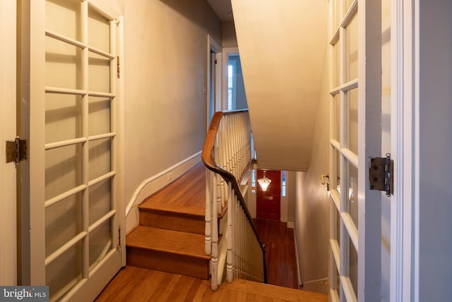 staircase with wood-type flooring