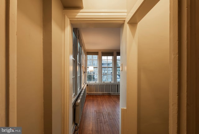 hall with dark wood-type flooring and radiator