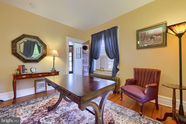 office featuring hardwood / wood-style floors and radiator heating unit