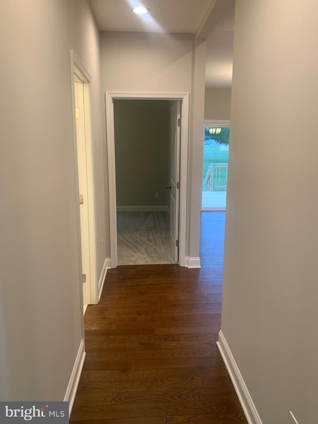 corridor featuring dark wood-type flooring