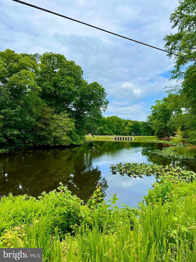 225 Wildwood Rd, Colonial Beach, VA 22443 - water view with a heavily wooded area