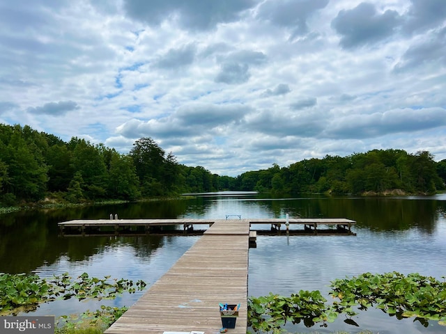 dock area featuring a water view