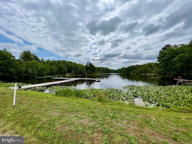 water view with a boat dock