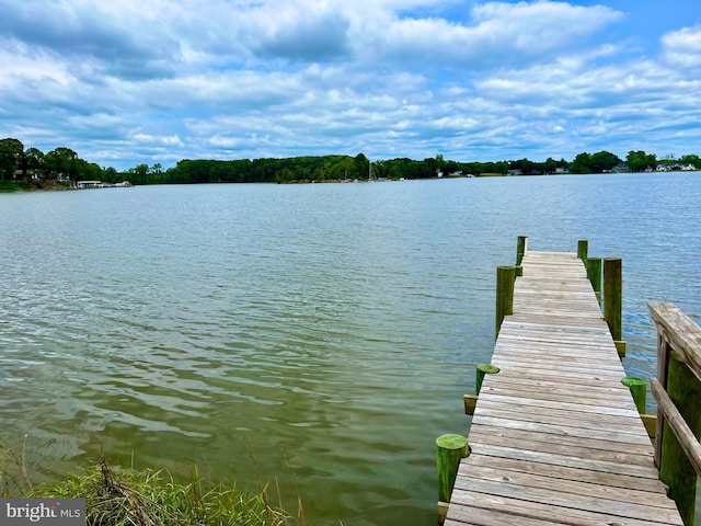 dock area featuring a water view