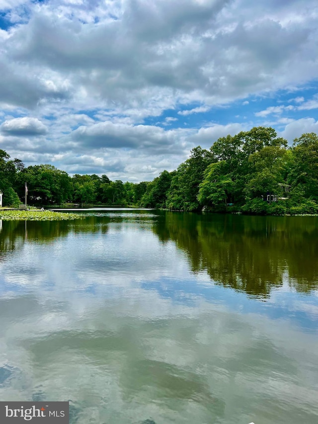 property view of water