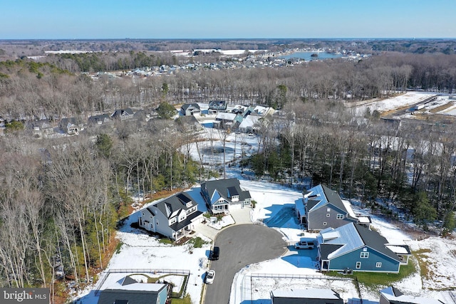 view of snowy aerial view