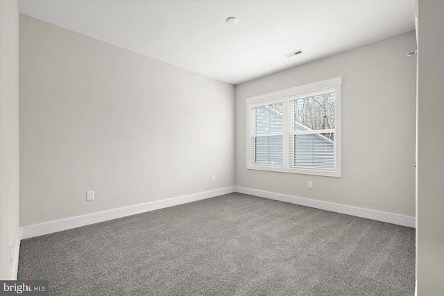 spare room with carpet