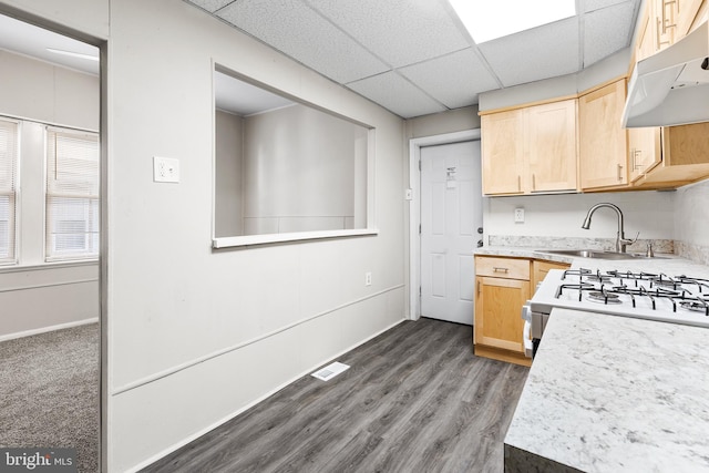 kitchen featuring dark hardwood / wood-style flooring, a drop ceiling, white range with gas cooktop, sink, and light brown cabinets