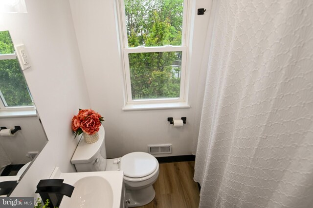bathroom featuring wood finished floors, toilet, vanity, and curtained shower