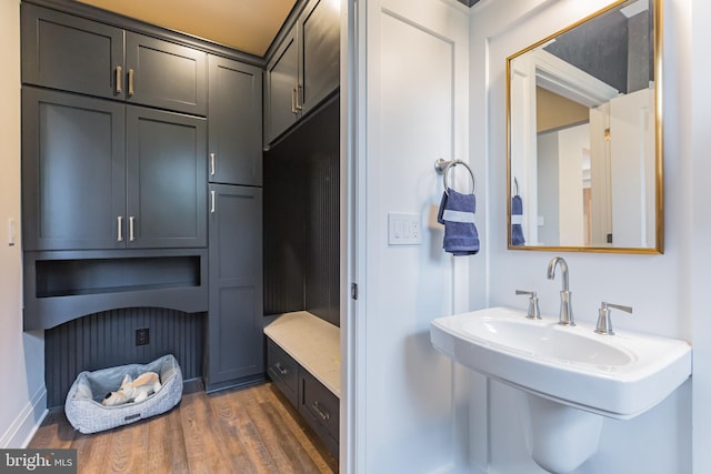 bathroom featuring wood-type flooring and sink