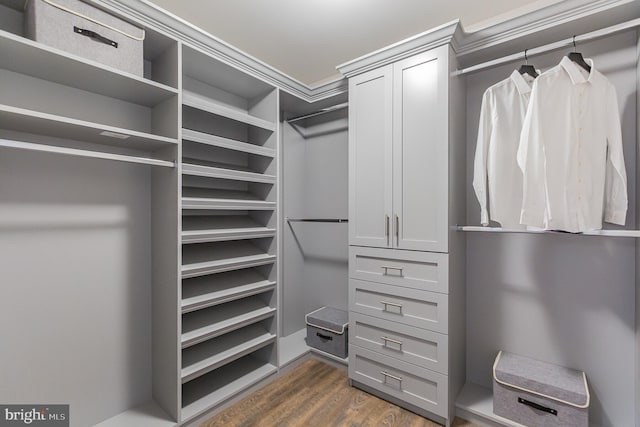 walk in closet with dark wood-type flooring