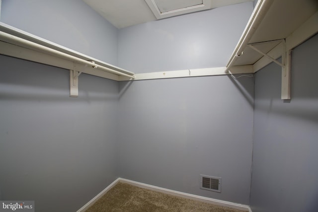 spacious closet featuring carpet floors, visible vents, and attic access