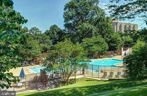 view of swimming pool with a yard