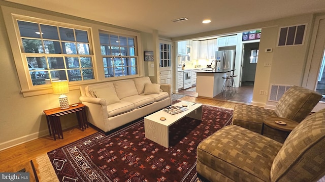 living room with hardwood / wood-style flooring, a healthy amount of sunlight, and sink