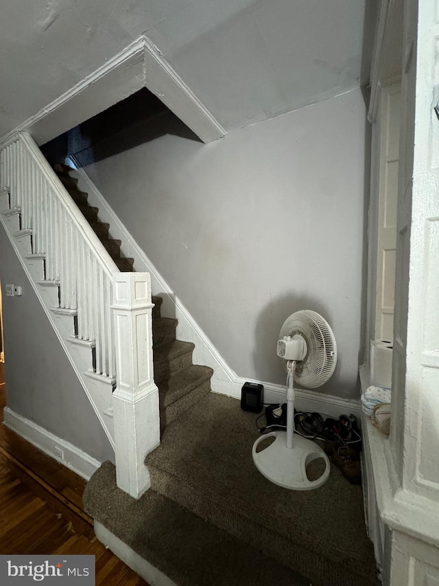 staircase with hardwood / wood-style floors