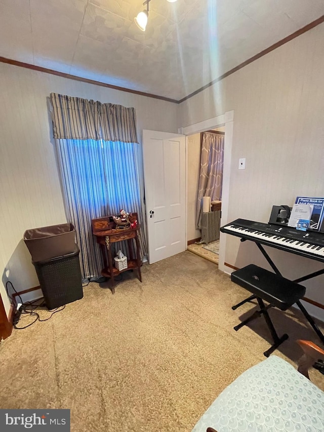 misc room featuring carpet flooring and crown molding