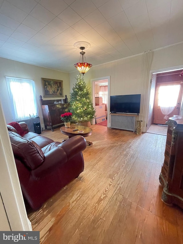 living room featuring hardwood / wood-style floors