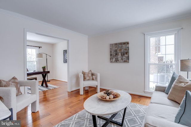 living room with ornamental molding and hardwood / wood-style flooring