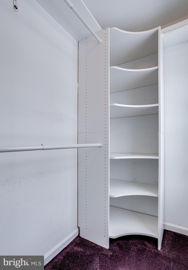 spacious closet with carpet