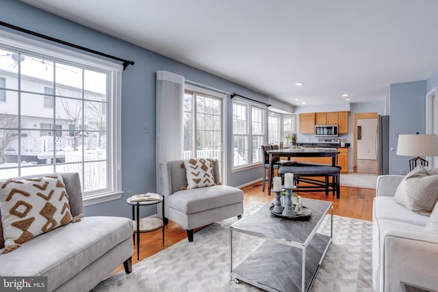 living room featuring light hardwood / wood-style floors and a wealth of natural light